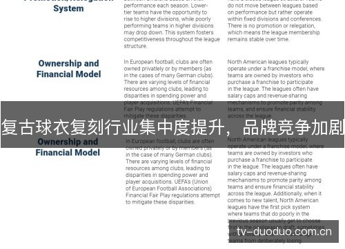 复古球衣复刻行业集中度提升,品牌竞争加剧 复古球衣复刻行业集中度提升,品牌竞争加剧